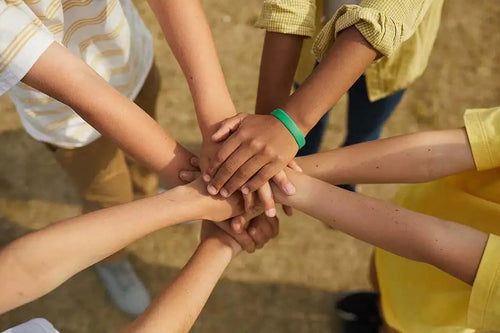 Empowering Students to Stand up for their Bullied Peers