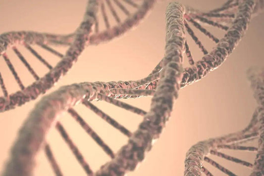 National DNA Day