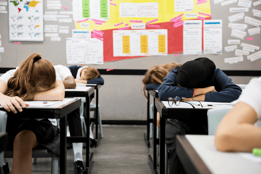 Strategies for Stopping Disruptive Behavior K-12 teachers professional development course