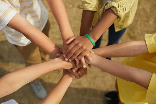 Empowering Students to Stand up for their Bullied Peers