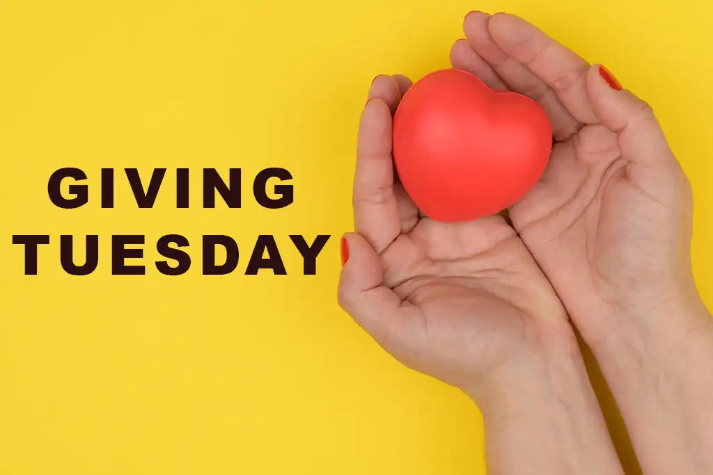 Blog Article: Giving Tuesday - Nonprofits That Can Make a Difference In the Classroom