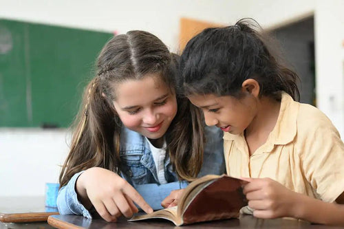 Books Teaching Social Skills for Students and Teachers