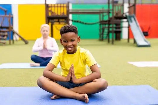 New Course: Developing Student's Mindfulness Practice