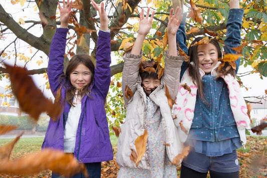 Harnessing Fall Excitement in the Classroom