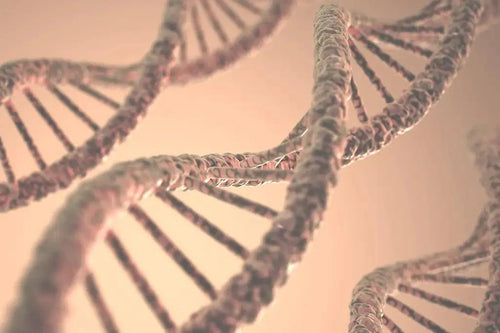 National DNA Day