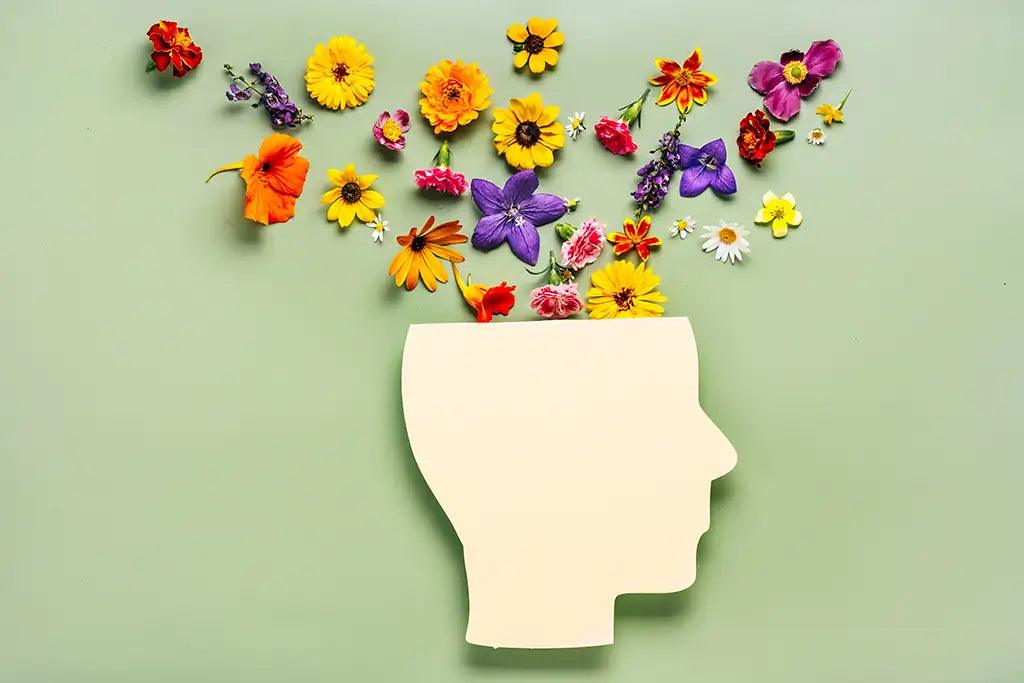 Supporting Your Mental Health as an Educator