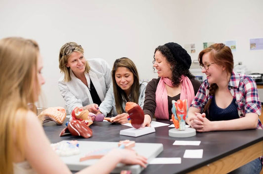 Understanding Learning Styles: Reaching Every Student in Your Classroom