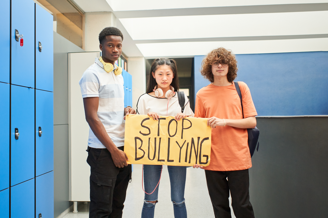 Creating School Environments Free from Harassment, Intimidation and Bullying Course for Teachers